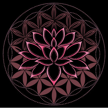 Lotus Lotusblume Lotusblüte mit Blume des Lebens für Yoga und Meditation. Vektor Design für Spiritualität und Buddhismus.