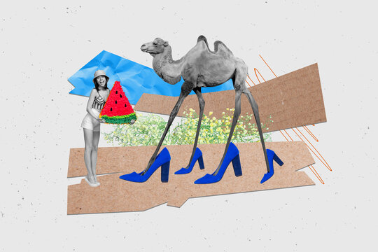 Composite collage picture image of beautiful funny happy female sit watermelon pinata camel walking girl shoes shopping sales
