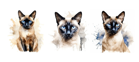 distinctive siamese cat watercolor