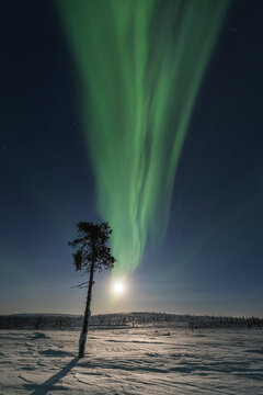 Moonscape from Lapland
