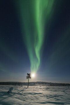 Moonscape from Lapland