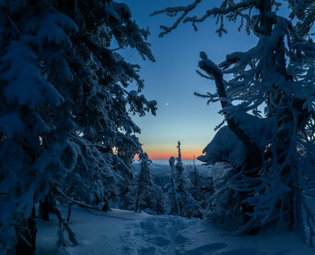 Jupiter, Venus and Moon Conjunction in a winter landscape