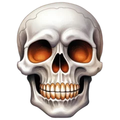 Foto op Plexiglas Aquarel doodshoofd Watercolor Skull Human Head, Eerie, Horror, Spooky Halloween, Anatomy. Isolated on Transparent Background. Generative AI