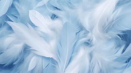 Blue feathers background