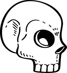 hand drawn skull illustration.