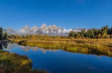 Autumn Landscape Reflection in the Tetons