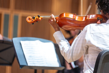 musician playing the violin