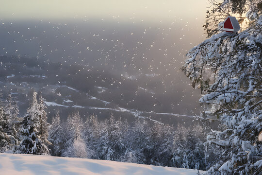 day, forest, hill,birdl, 4k, snow, Generative AI