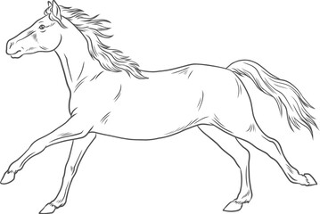 Freigestellte Vektor Illustration eines eleganten, schlanken Pferdes in anmutigem Galopp - obrazy, fototapety, plakaty