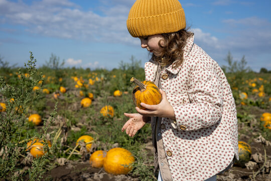 Portrait of a cute girl holding a little pumpkin on the field 