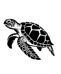 Flower Turtle svg, Sea Turtle svg, Turtle svg file, Turtle with flower frame svg png, Ocean Animal svg, Turtle Silhouette, Beach Turtle svg
