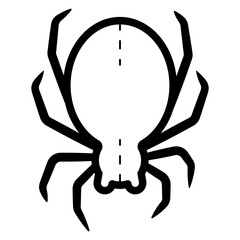 spider icon
