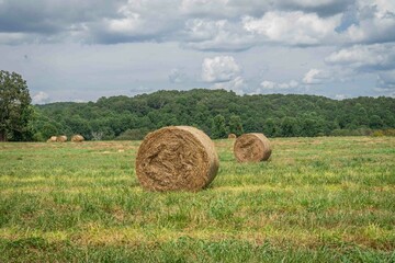 Hay Bales near Cleveland, Ga