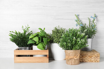 Different artificial potted herbs on white table