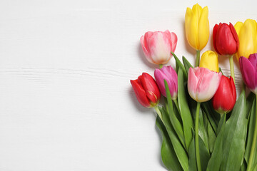 Beautiful colorful tulips on white wooden background, flat lay with space for text