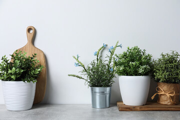 Different artificial potted herbs on light grey table
