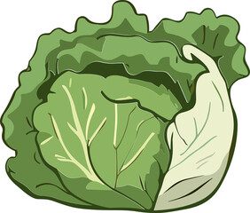Lush green cabbage head, fresh and vibrant leafy vegetable