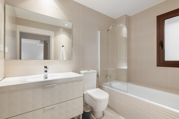 Cozy bathroom in stylish beige tone with a bathtub with glazed panels with a toilet bowl and a washbasin with a cabinet and a mirror. Stylish laconic interior design concept