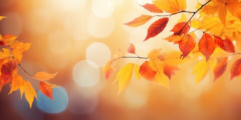 Colorful universal natural autumn background for design with orange leaves and blurred background