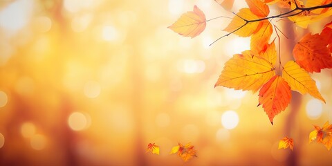 Fototapeta premium Colorful universal natural autumn background for design with orange leaves and blurred background