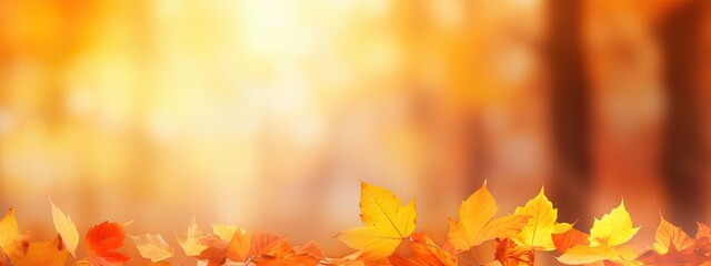 Colorful universal natural panoramic autumn background for design with orange leaves and blurred background