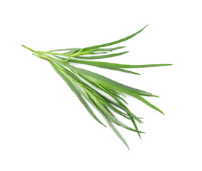 Sprigs of fresh tarragon on white background