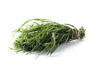 Bunch of fresh tarragon on white background