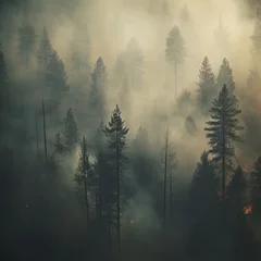 Photo sur Plexiglas Forêt dans le brouillard The forest is filled with thick smoke from a forest fire. Generative AI