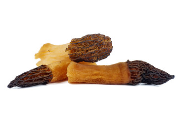 Few morel mushrooms isolated on white background