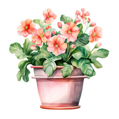 Pink and Peach Flowers in a Pot Watercolor Clipart isolated on Transparent Background. 