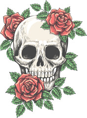 Rose skull tattoo sketch