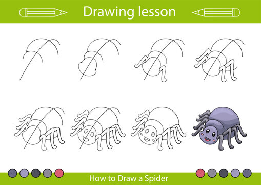 Drawing tutorial kids art lesson. How to draw insect. Kids activity page. Children education step by step worksheet. Vector illustration of spider.