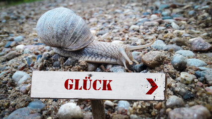 Signposts the direct way to Fortune