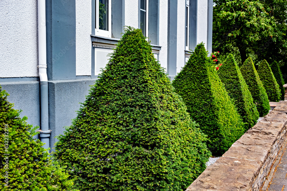 Aufkleber decorative landscape in the form of green triangular shrubs in the shape of pyramids in front of a w