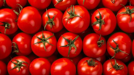 Large Red Tomatoes on a White Background - Perfect for Agriculture, Food, Shopping or Organic Healthy Vegetable Concepts: Generative AI