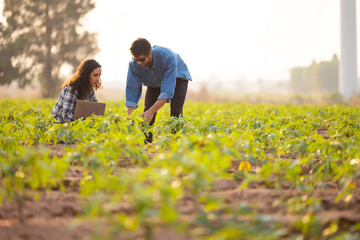 Hispanic man and woman Farmer holding laptop computer in hands for research sustainability and ...