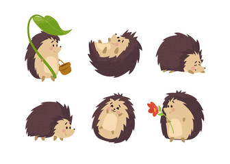 Set of cute and funny hedgehog animals, cartoon flat vector illustration isolated on white background. © sabelskaya