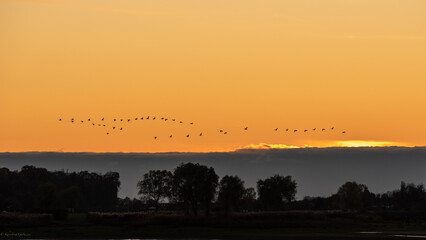 Fototapeta premium Montier en Der