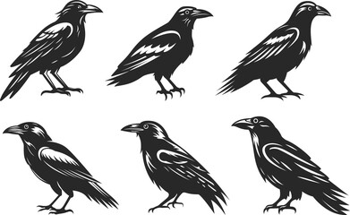 Fototapeta premium Сrow abstract character illustrations. Graphic logo of birds design template for emblem. Image of raven.