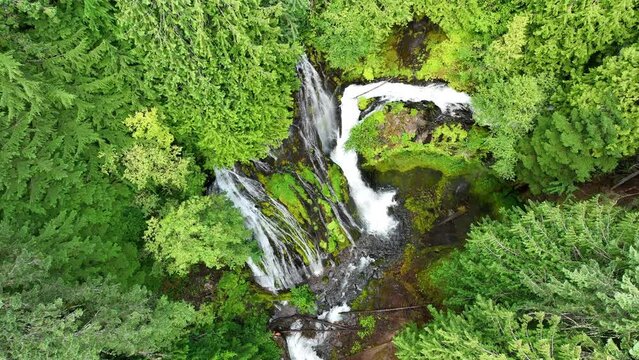 Seen from a bird's eye perspective, the impressive Panther Creek Falls flows through the Gifford Pinchot National Forest in Washington. This beautiful area is not far from the Columbia River Gorge.