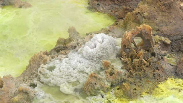 The colorful volcanic landscape of dallol in danakil Dallol Ethiopia