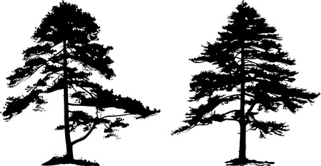 Obraz premium pine trees silhouette set illustration