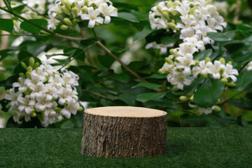 Wood podium tabletop floor outdoor blurred white flowers nature background.Natural beauty cosmetic or spa aromatherapy product mock up present pedestal stand display, spring and summer concept.