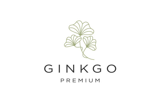 Ginkgo leaf with line art style logo design template flat vector