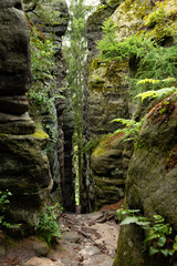 Hiking trail through forest and sandstone rocks in Prachov Rocks, Bohemian Paradise, Czech Republic