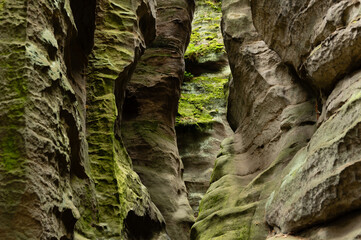 Natural sandstone rock formations in Prachov Rocks rock town, Bohemian paradise, Czech Republic