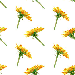 Obraz premium Seamless dandelions pattern. Watercolor floral background with yellow dandelion flowers pattern for textile, wallpaper, wrapping prints