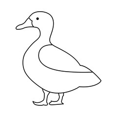 continuous single line drawing of duck water bird vector art illustration