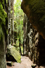 Hiking trail through forest and sandstone rocks in Prachov Rocks, Bohemian Paradise, Czech Republic