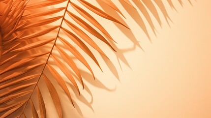 Warm orange and beige summer color background with tropical palm shadow Two trend pastel paper and exotic plant shade layout Minimal flat lay with leaf silhouette overlay
